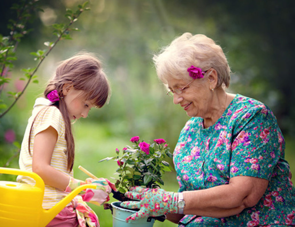 Gärtnerfreuden im Sonnen-Garten – Haus Sonnengarten in Ruhstorf